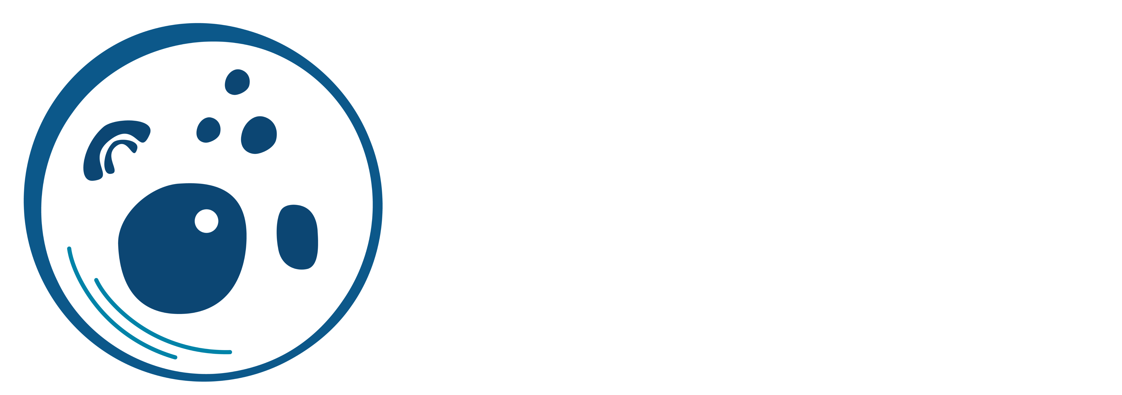 Homepage-logo2