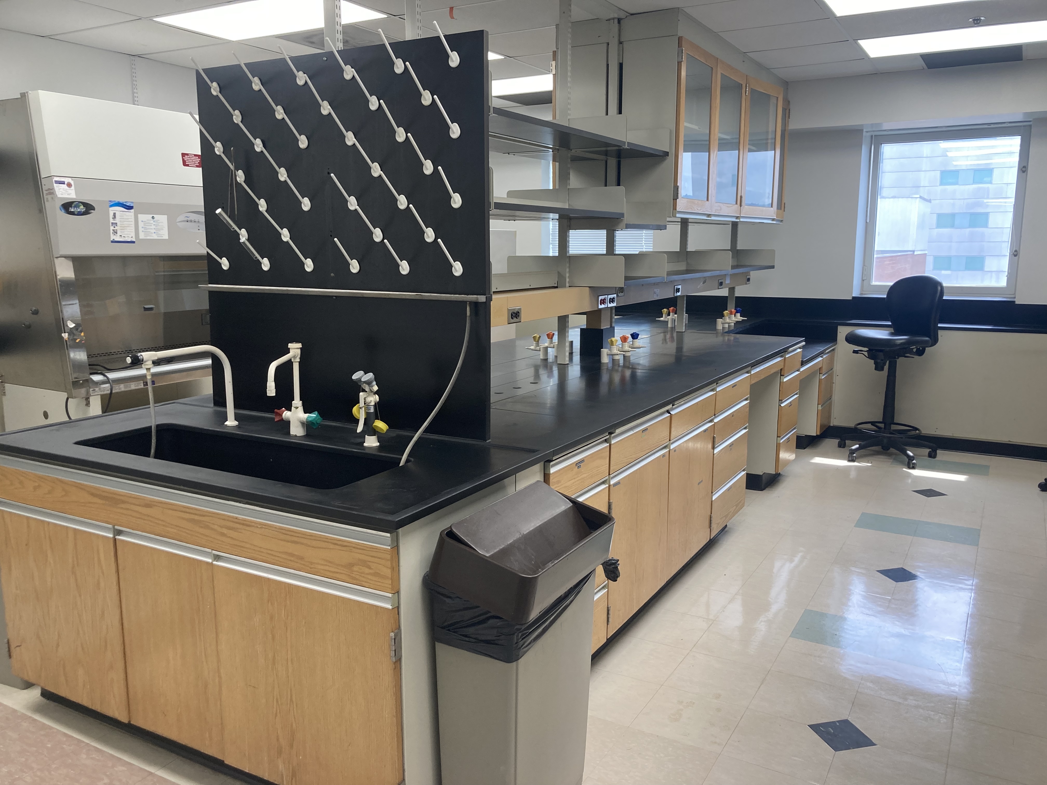 Pic-new-lab
