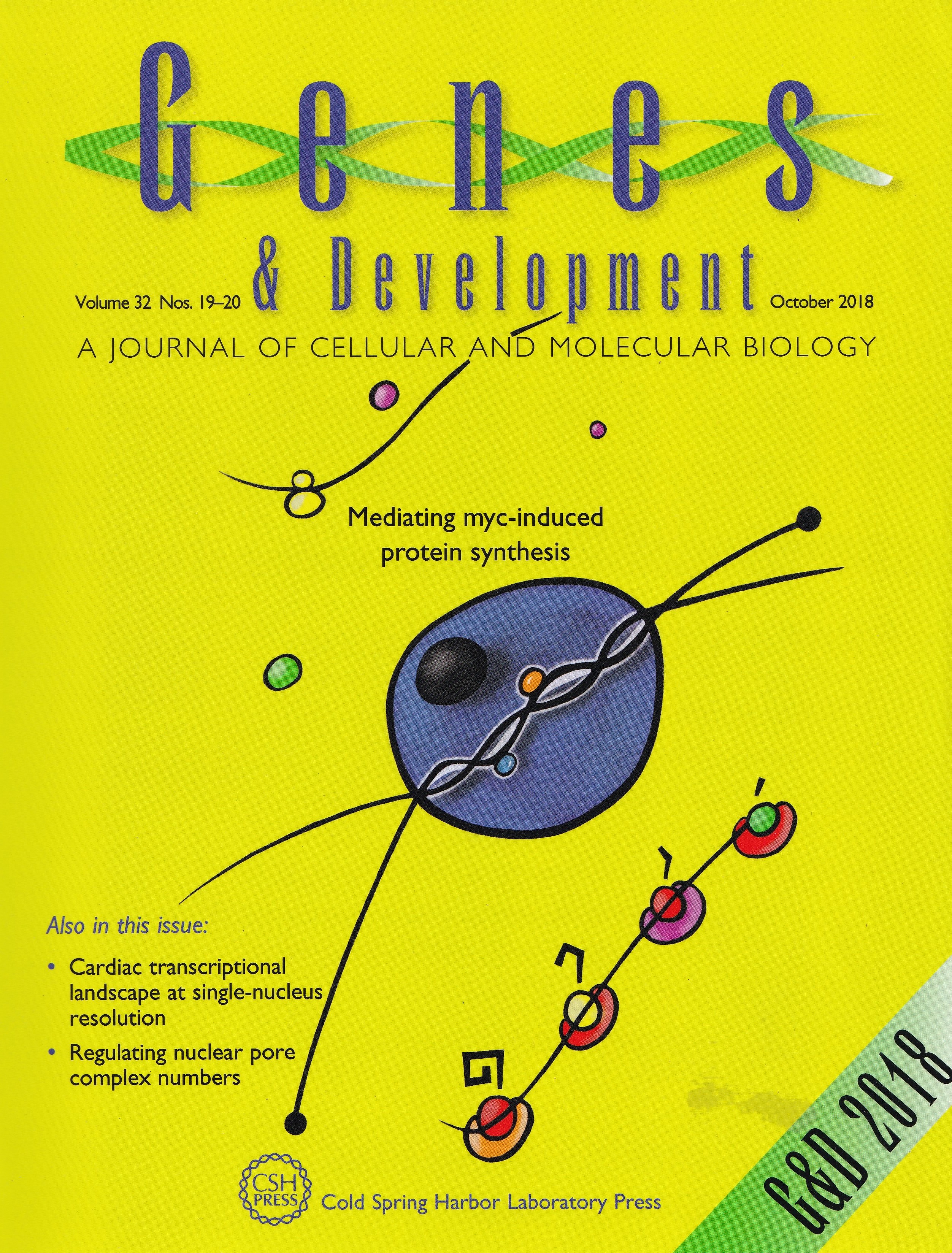 cover_G&D