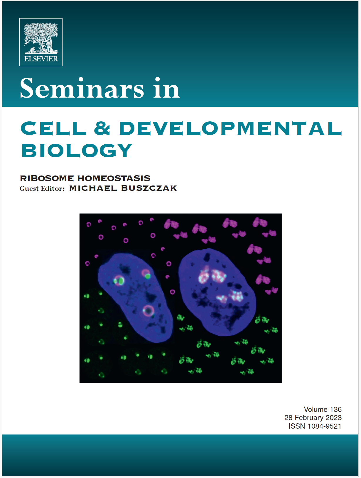cover_Semin-Cell-Dev-Biol
